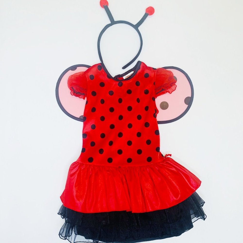 Get Real Gear, 4-6Y, s/s poly Ladybug costume